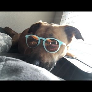 Meet your Posher, Justin